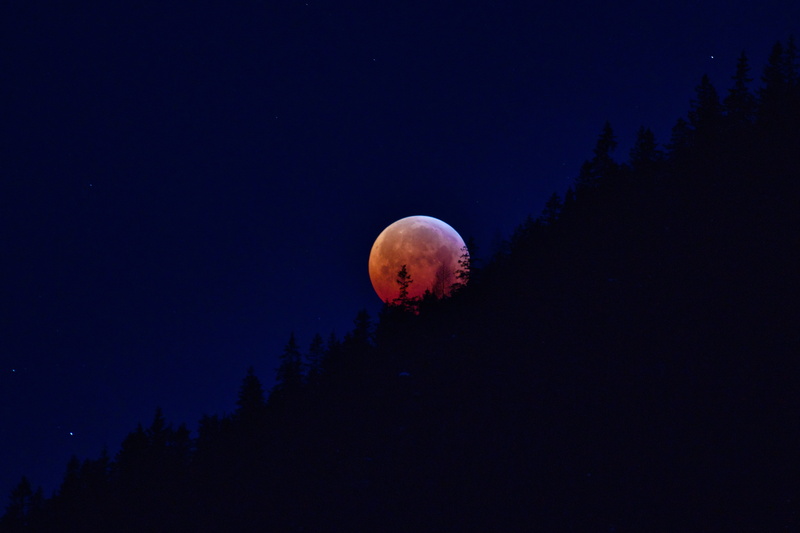 tranquility, moonlight, science, blue, space, cosmos, animals in the wild, landscape, sky, no people, blood moon, nature, beauty in nature, earth companion