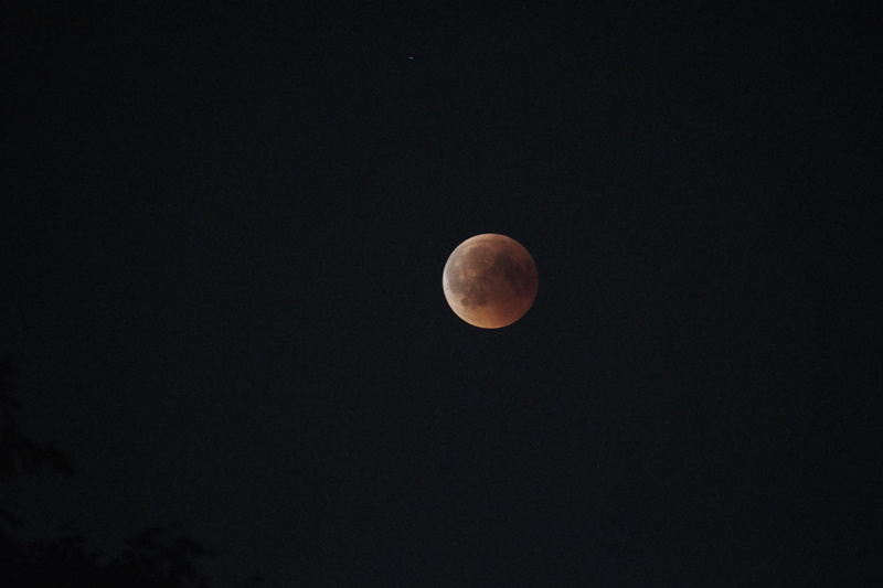 space, no people, beauty in nature, sky, tranquility, moonlight, clear sky, eclipse, copy space, blood, tranquil scene, nature, full moon, moon, outdoors