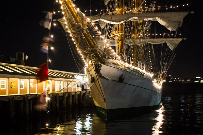 sailor, anchored, boat, architecture, ocean, waterfront, ship, built structure, nature, mexico, tall ship, mode of transportation, transportation, harbor