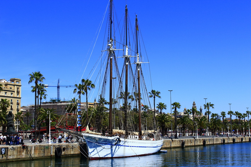 pole, outdoors, nature, clear sky, boat, sailboat, mast, harbor, sky, mode of transportation, vessel, travel, pier, tree, dock, marina, day, nautical vessel