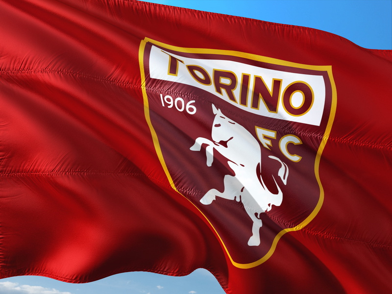 no people, 4K, flag, business, patriotism, studio shot, text, nature, fc turin, full frame, animal wildlife, indoors, abstract, mammal, international