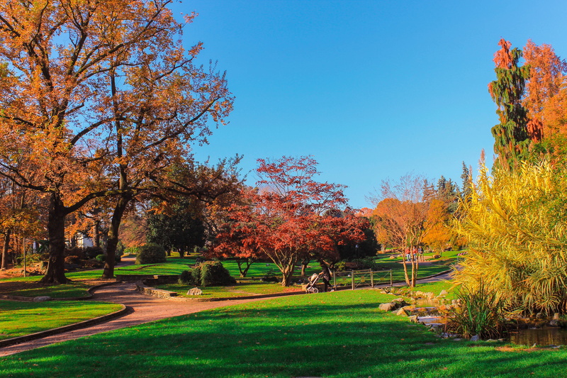 green color, outdoors, tranquil scene, beauty in nature, park, change, sunlight, sky, tree, park - man made space, day, colours, italy, orange color, parcodelvalentino
