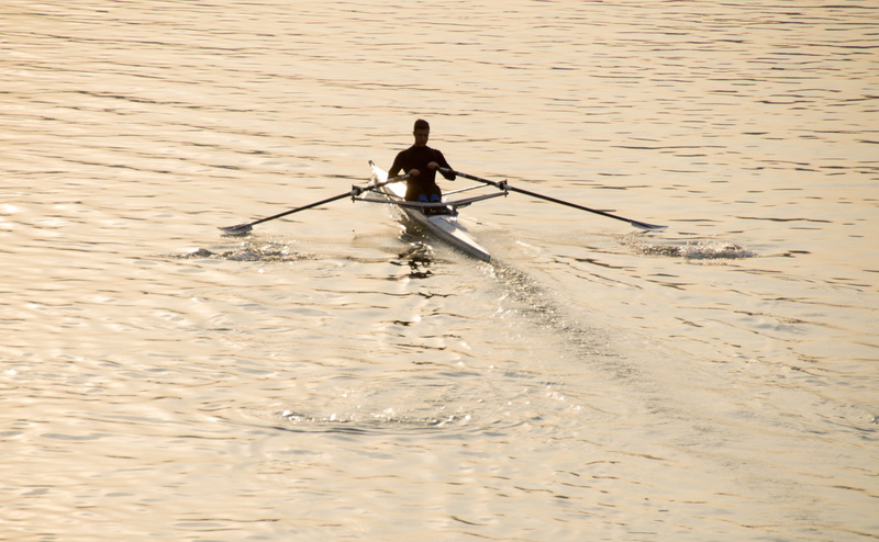 full length, waterfront, 4K, nautical vessel, sport, nature, lifestyles, transportation, paddling, rear view, turin, adventure, water, outdoors, oar, real people