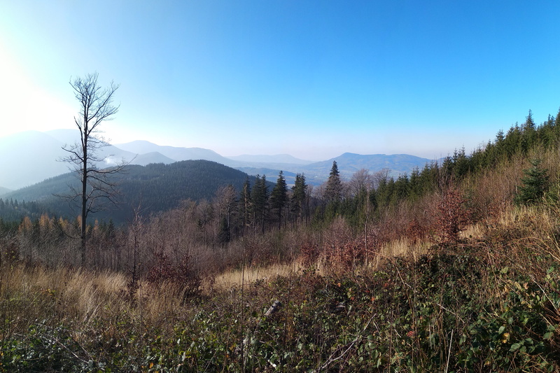 mountain range, 5K, tree, sky, beskydy, plant, tranquil scene, non-urban scene, remote, view, no people, mountain, clear sky, scenics - nature, outdoors