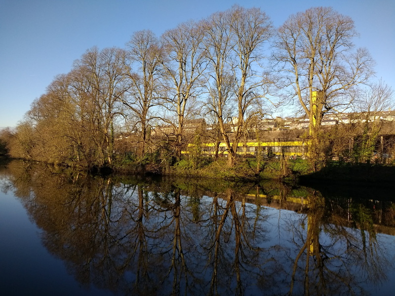sky, scenics - nature, plant, standing water, clear sky, growth, tide, bare tree, ireland, waterfront, city, lake, no people, landscape, reflection, outdoors