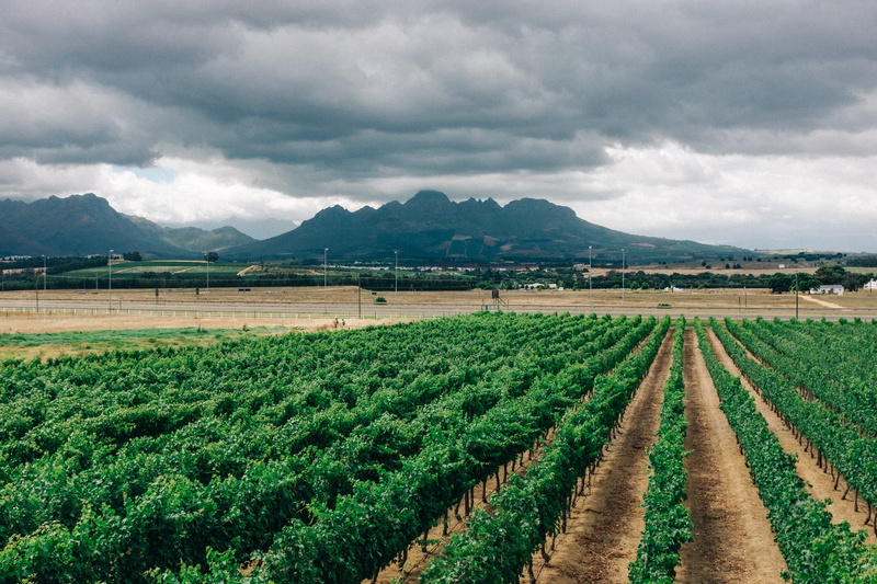 sky, 2K, farm, nature, plantation, environment, mountain range, growth, land, crop, tranquility, wine, plant, mountain, clouds, no people, rural scene