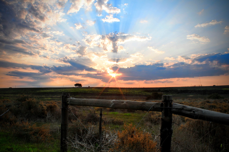 boundary, landscape, beauty in nature, outdoors, sunset, sunbeam, fence, 4K, field, barrier, bright, no people, lens flare, stellenbosch, cloud - sky
