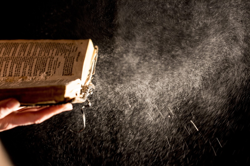 close-up, dust, focus on foreground, hand, bible, real people, activity, human hand, one person, textured effect, unrecognizable person, human body part