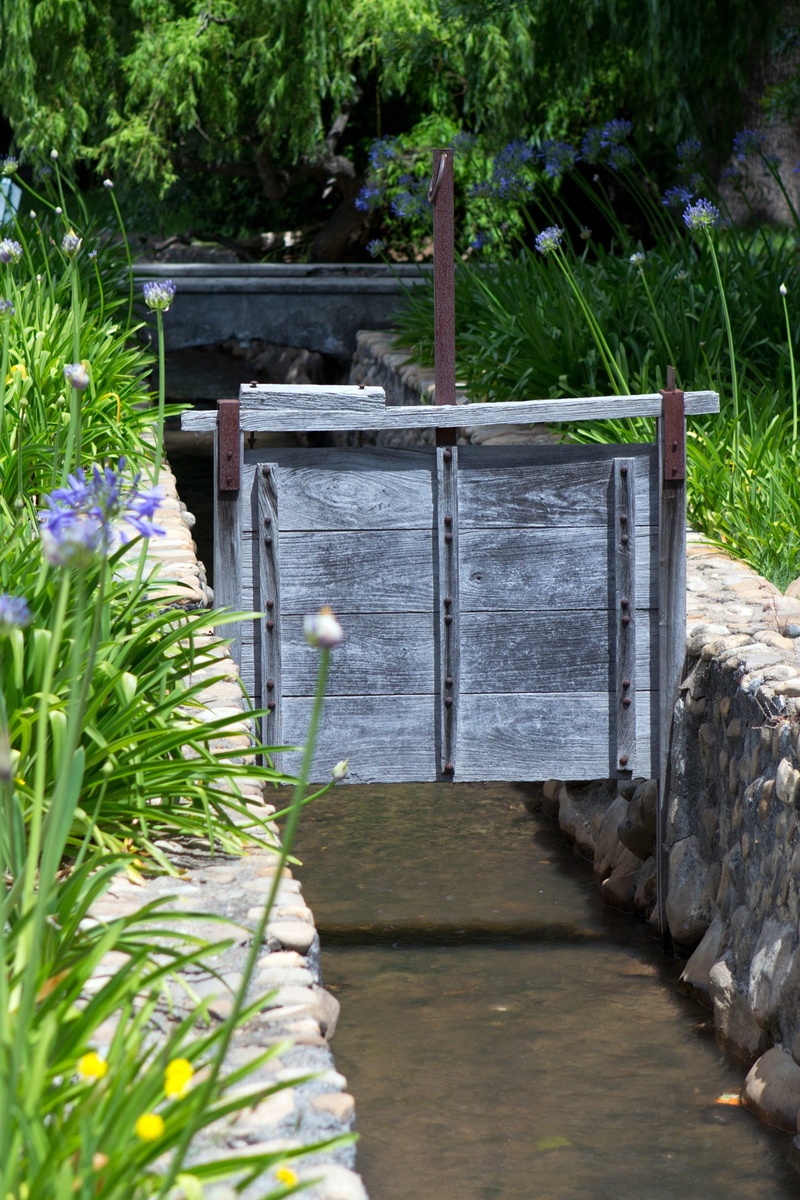 nature, plant, day, stellenbosch, solid, green color, Irrigation, summer, front or back yard, formal garden, Sluice Gate, tree, garden, 2K, flower, control