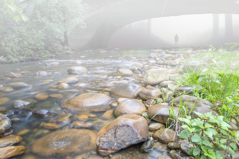 rock, water, tranquility, flowing water, solid, land, scenics - nature, surface level, pebble, silhouette, tree, nature, tranquil scene, beauty in nature