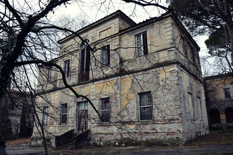 old, decline, deterioration, tree, window, no people, abandoned, built structure, 4K, tuscany, house, plant, outdoors, building, building exterior, run-down