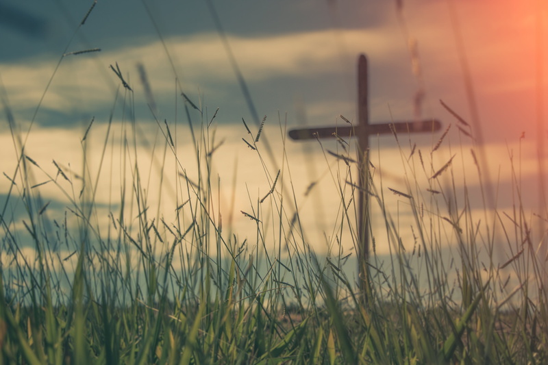 cloudy, selective focus, timothy grass, outdoors, agriculture, cross, blue sky, land, tranquility, environment, summer, beauty in nature, crop, plant, field