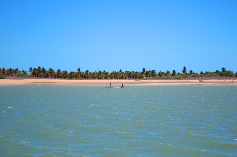 nature, tree, land, day, beach, real people, blue, ceu, non-urban scene, copy space, clear sky, coconut trees, sky, beauty in nature, turquoise colored