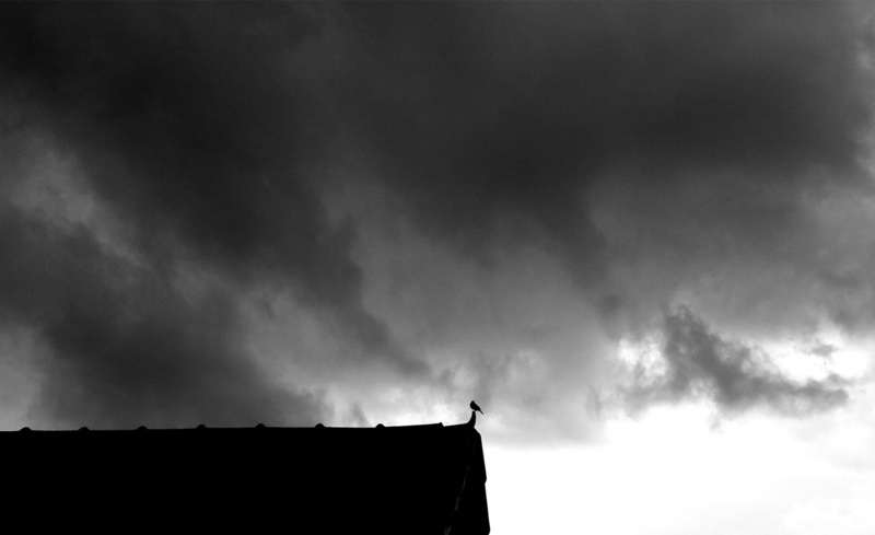 chuva, nuvens, silhouette, built structure, cloud - sky, cloudy, rainy, building exterior, nuvem, day, sky, animal, animal themes, low angle view, passaro