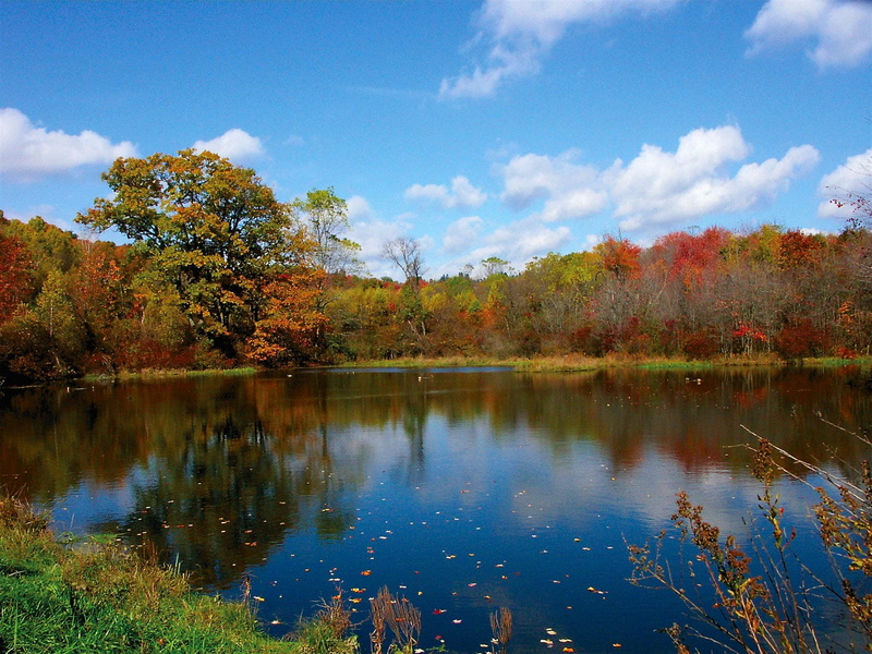 growth, Ceu, autumn, plant, non-urban scene, tree, reflection, tranquility, cloud - sky, beauty in nature, nature, Blue Sky, scenics, tranquil scene, water