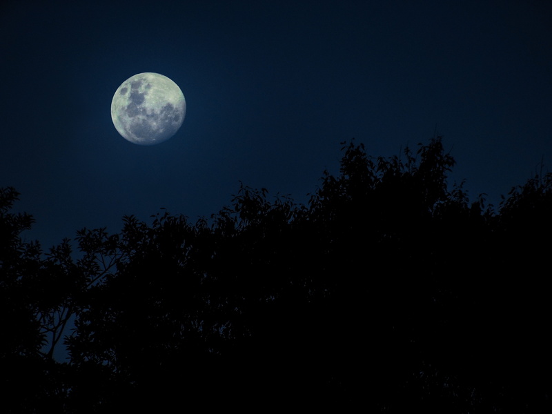 landscape, beauty in nature, ceu, nature, tree, planetary moon, 4K, blue sky, outdoors, star - space, shape, mystery, trees, no people, astro, space, silhouette