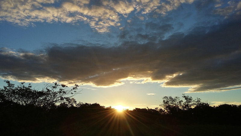 sunbeam, brazil, end of afternoon, dramatic sky, cloud - sky, tree, beauty, beauty in nature, 2K, eventide, tranquil scene, summer, bright, sky, growth