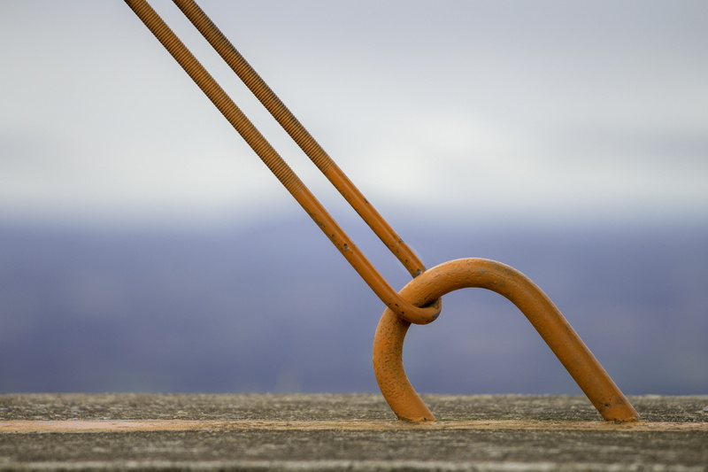 curvo, outdoors, ceu, water, 5K, animals in the wild, iron, day, duplo, animal, single object, ferro, paint, invertebrate, double, metal, textured, close-up