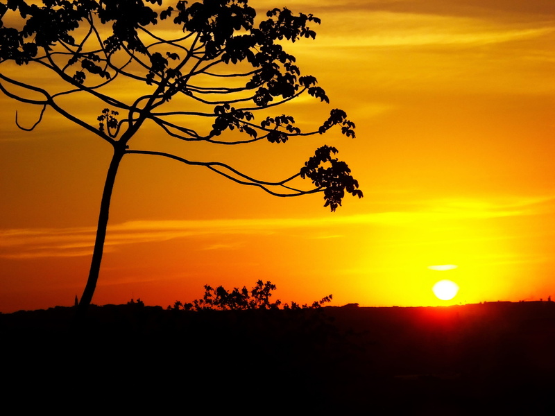 sun, landscape, sky, nature, sunlight, sunset, tranquility, sol, ceu, no people, branch, silhouette, by sunsets, clouds, environment, eventide, horizon