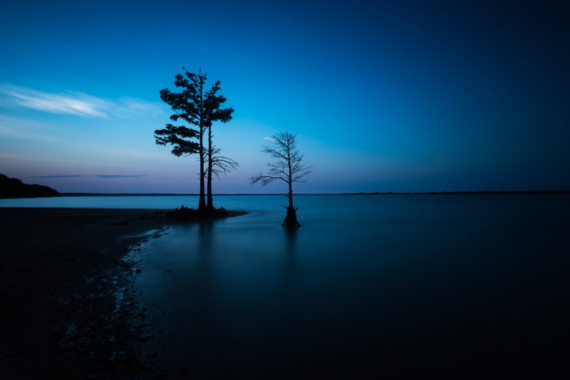 Night, Lonely Tree, 1080P, Ocean, Horizon, Dark, Sky, Tree, Earth, Nature