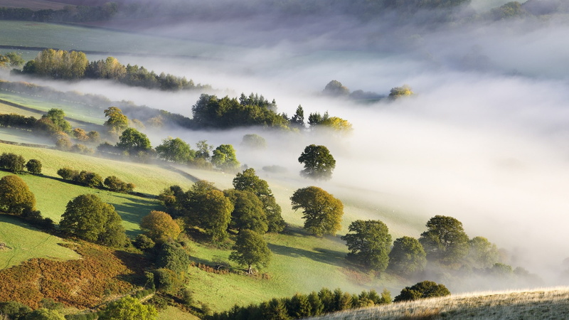 park, nature, hd, mountains, valley, trees, wales, fog, art, fields, x, countryside, Landscapes, national, mist, 1080P