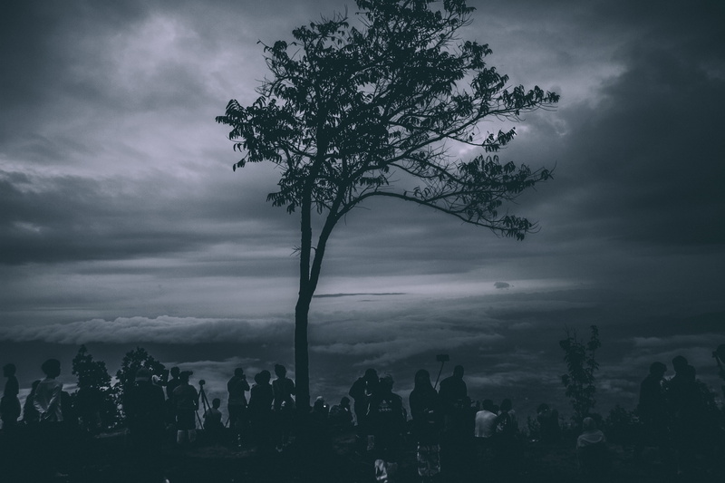 cloudscape, person, cloud - sky, sky, dusk, plant, environment, landscape, beauty in nature, moody, ominous, cloud, fog, people, crowd, overcast, near