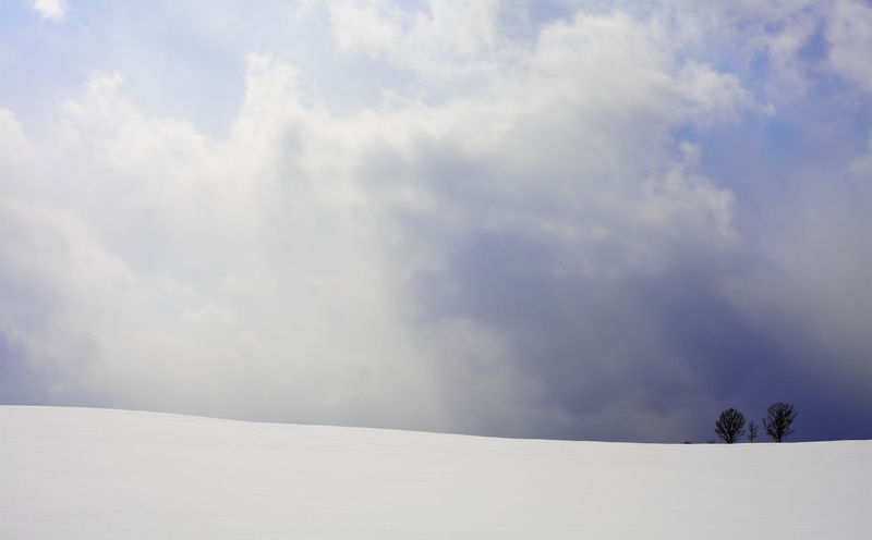 field, day, Snowy, Snow, no people, cold temperature, non-urban scene, white color, Tranquility, tree, environment, beauty in nature, Nobody, biei, Outdoors