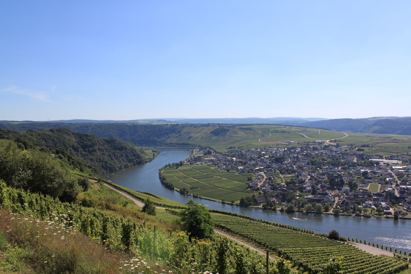 steep slope, blue, no people, outdoors, wine growing area, vines, sky, mosel, landscape, nature, plant, high angle view, day, tree, germany, land, clear sky