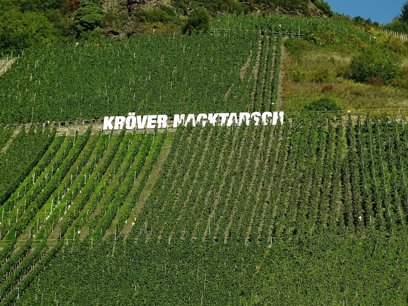 4K, high angle view, western script, mosel, fields, germany, text, slate, sign, winegrowing, vineyard, green color, grass, capital letter, plant, vinayards