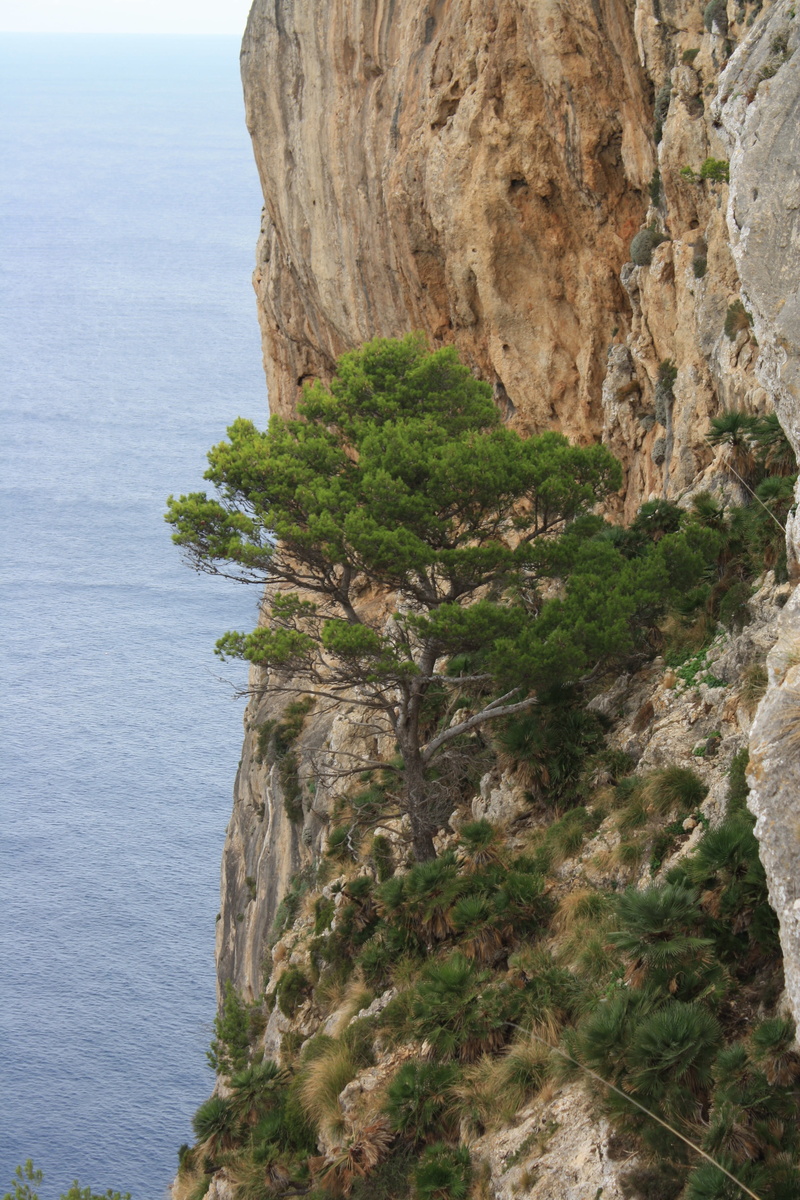 scenics - nature, tranquility, tranquil scene, rock, rock - object, tree, mountain, eroded, day, blue water, formation, plant, non-urban scene, solid, 4K