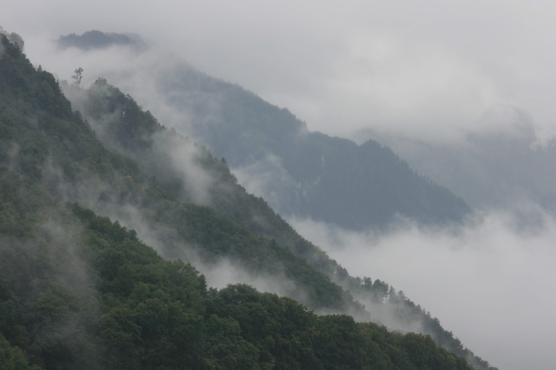 plant, sky, mountains, land, cloud - sky, environment, woodland, lush foliage, tranquil scene, forest, panorama, day, fogs, 4K, non-urban scene, mountain
