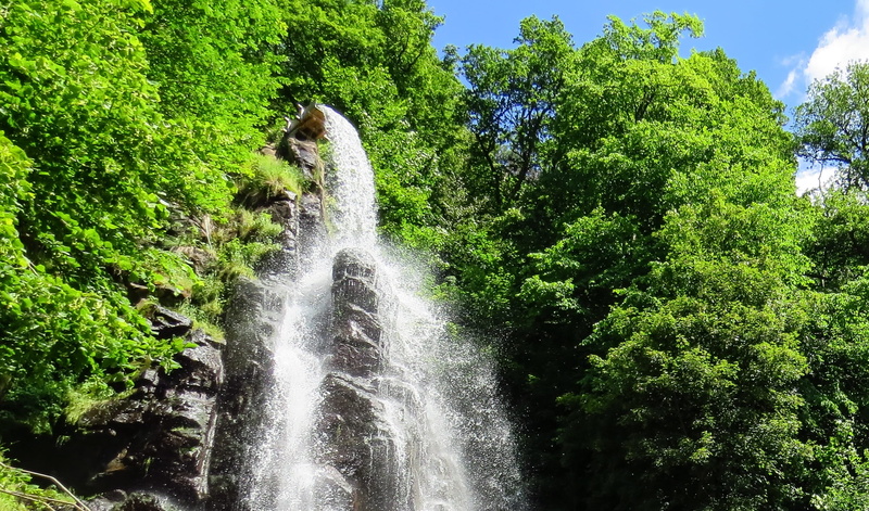 no people, water, forest, power in nature, plant, low angle view, flowing, steep, landscape, tree, motion, green color, blurred motion, scenics - nature