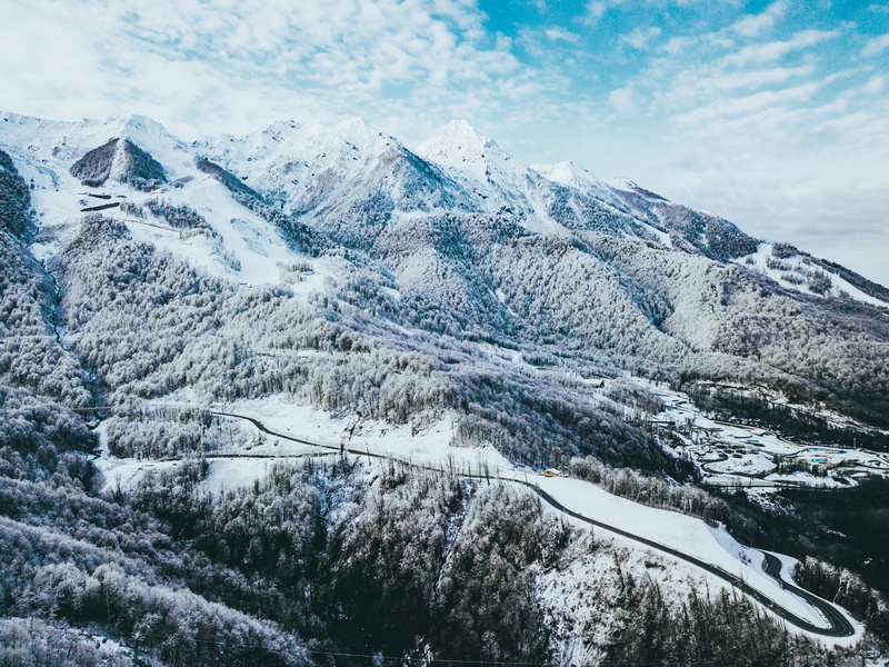 high, mountain, picturesque, non-urban scene, trees, plant, pine woodland, cold, beautiful, tree, forest cover, mountain top, cold temperature, day, tranquility