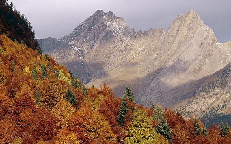 peaks, nature, autumn, stone, bald, tree, mountain, nature and landscapes, 1080P