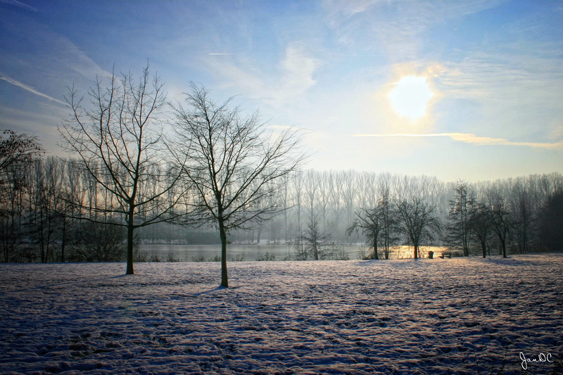 season, tranquility, landscape, morning, covering, sunset, ice, winter, bald, frozen, day, dawn, land, 1080P, garden, scenics - nature, environment, sunrise - Dawn