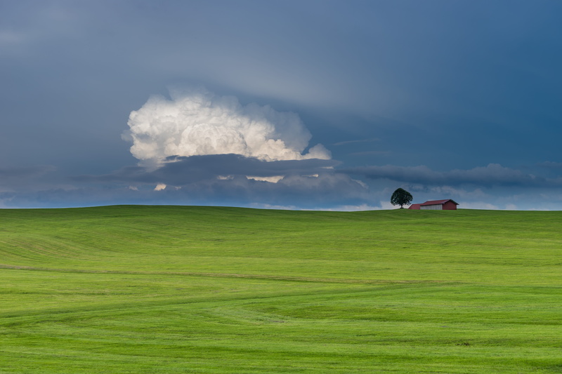 scenics - nature, Nature, golf, leisure activity, Landscape, horizon, activity, day, environment, daytime, 5K, solitary, clouds, ominous, tree, grass