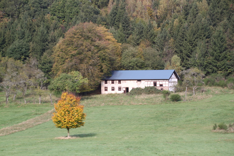 Fachwerkhaus, Eifel, pasture, plant, nature, architecture, forest, environment, day, building, outdoors, growth, Farm, tree, built structure, building exterior