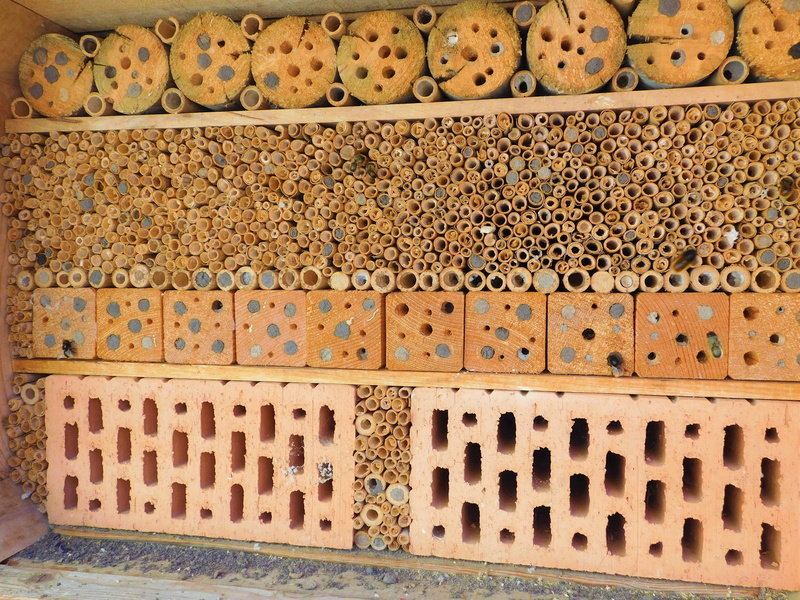 built structure, honey bees, metal, brick, bees, bee hotel, honeycomb, masonry, carpenter bee, insect, pattern, outdoors, wasp, honey production, 4K, lacewing