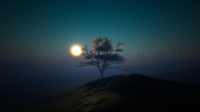 moonlight, nature, land, tranquil scene, landscape, lone tree, twilight, tree, scenics - nature, sky, non-urban scene, lonely tree, full moon, hill, outdoors