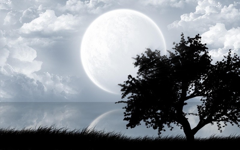 moon, rise, new, reflection, water, 3d and abstract, clouds, trees, 1080P