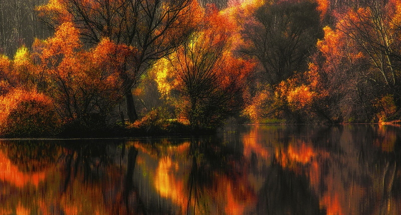 landscape, 720P, amber, leaves, forest, water, trees, lake, fall, colorful, yellow, reflection, nature