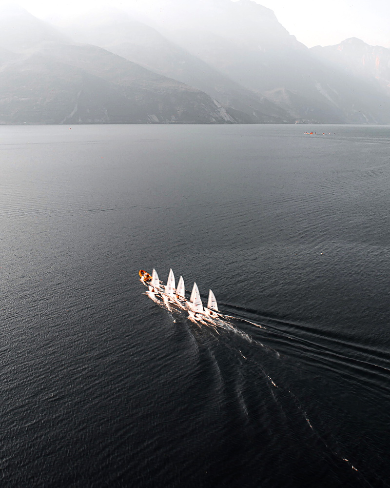 sea, day, above, high angle view, open ocean, tranquility, no people, nautical vessel, ship, sunlight, sail, vertebrate, nature, bird, lake, tranquil scene