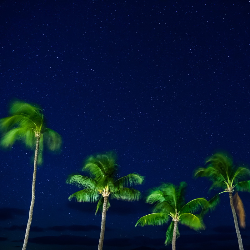lahaina, green color, growth, astronomy, leaf, no people, star - space, beauty in nature, galaxy, tranquility, hawaii, space, nature, plant part, scenics - nature