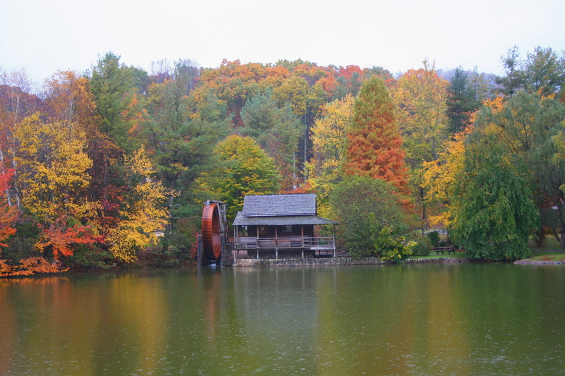 nature, waterfront, autumn, 2K, water, mill, architecture, tranquility, plant, mill pond, tree, reflection, community, college, haywood county, fall, orange color