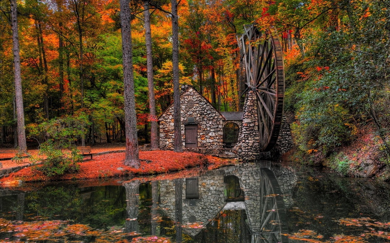 Tree, Man Made, Foliage, Watermill, Mill, 1080P, Fall, Forest, Reflection