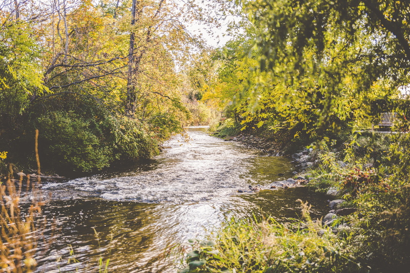 harvest, 5K, rush, day, colorful, plant, green, park, rapids, autumn, flowing water, orange, tranquil scene, lake, growth, forest, tree, ravine, non-urban scene