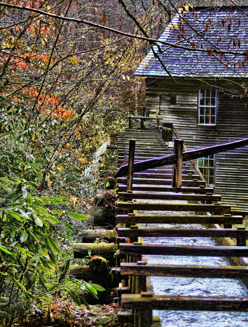 plant, day, tree, building exterior, outdoor, change, foliage, country, architecture, scenic, scenery, no people, the way forward, rural, beauty in nature