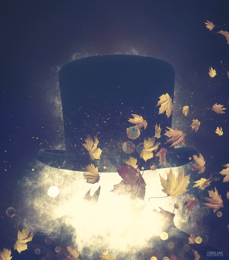 plant, autumn, close-up, lens flare, falling, water, illuminated, star - space, plant part, art, hat, night, 2K, no people, leaf, glowing, outdoors, back lit