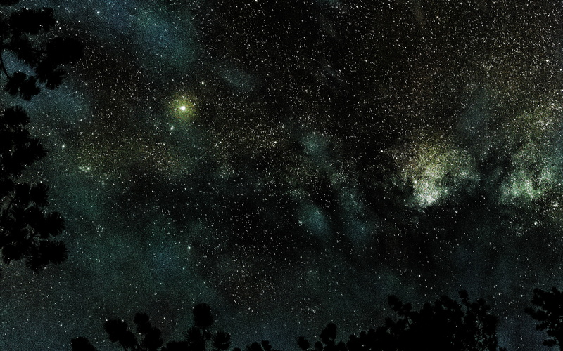 star - space, outdoors, space, infinity, 4K, star, wood, nature, astronomy, night, beauty in nature, sky, dark, star field, no people, tranquil scene