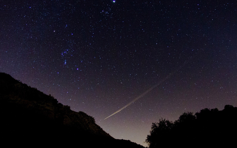 tranquil scene, 4K, star field, low angle view, silhouette, no people, astronomy, falling, galaxy, plant, sky, star, night, infinity, star - space, scenics - nature